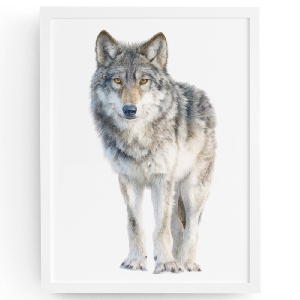 Watercolor Wolf with Mystical Aura Portrait Wall Art Print Poster, Unframed